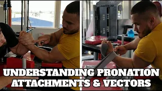 Understanding Pronation Attachments & Vectors (for Hook & Toproll)