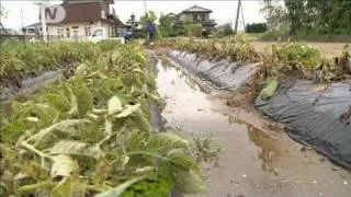 【地震】ジャガイモ畑から水噴出　液状化の街深刻（11/05/30）