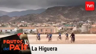 La higuera | Frutos del país - T2018E4