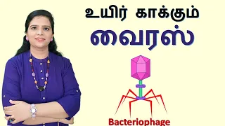 What is Phage Therapy? |  Bacteriophages