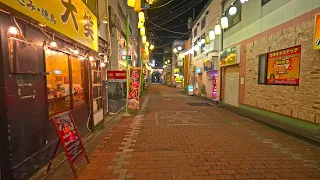 4K・ Night walk around Hiratsuka city shrines and the beach・4K HDR