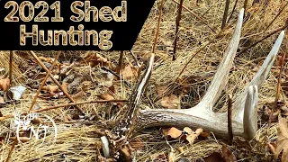 The Best Method to Find Sheds! "Park and Pop" 2021 Shed Hunting