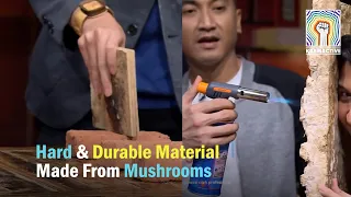 Hard & Durable Material Made From Mushrooms