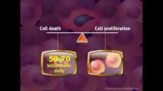 Introduction to Cancer Biology (Part 2): Loss of Apoptosis