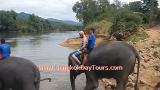 Elephant Thailand Tour *Extraordinary* via Bangkok Day Tours!