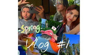 vlog #1 | 3 დღიანი ვლოგი: სამსახური, რუტინა, დაბადების დღე და ფერადი პიკნიკი