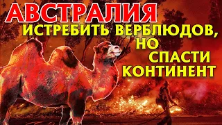 ПОЖАР В АВСТРАЛИИ. ПРИЧИНЫ И СЛЕДСТВИЕ.