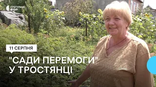 "Сади перемоги" у деокупованому Тростянці мають послідовників: хто допомагає та в який спосіб?