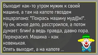 🤡Вовочка Заходит В Магазин Игрушек...Сборник Улётных Анекдотов, Для Супер Настроения!