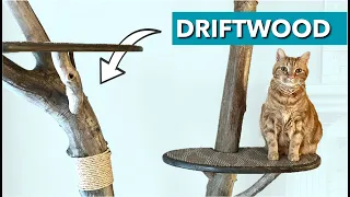 A DIY Cat Tree That Isn’t Embarrassing.