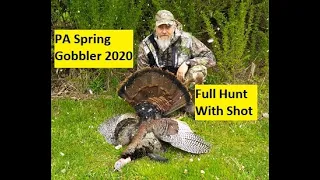 PA Turkey Hunting  2020 #2020springturkeyhunt #paturkeyhunting