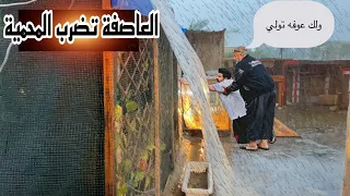 أقوه عاصفه😱غركت المحميه.  بيض بط الكوبره يدخل الفقاسه🐣