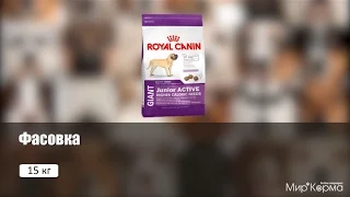 Обзор корма Royal Canin Giant Junior Active