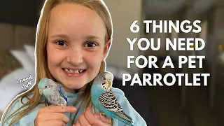 6 Things You Need For a Pet Parrotlet
