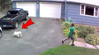 Dog CHASES Delivery Driver  | FUNNIEST Animals and Pets Caught on Camera 🤣