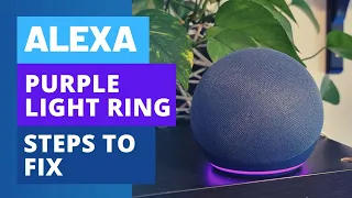 Solved: Steps to Fix the Alexa Purple Ring on your Amazon Echo Speaker