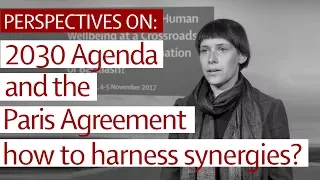 Perspectives on: How to harness synergies between 2030 Agenda and the Paris Agreement?