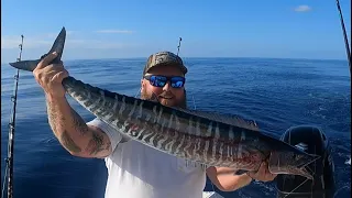 RAW Wahoo POKE BOWLS and offshore fishing!  Catch, Clean, Cook!