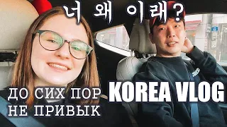 [한국어 자막] 국제커플. 와이프 영원히 익숙해질수 없다. KOREA VLOG. 브이로그