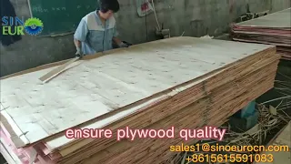 Cold press for the first press--Better shape plywood