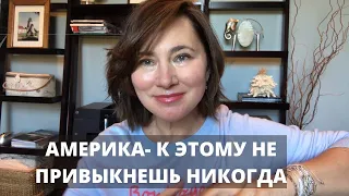 АМЕРИКАНСКАЯ ДЕЙСТВИТЕЛЬНОСТЬ. К ЧЕМУ НЕ ПРИВЫКНЕШЬ НИКОГДА!