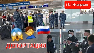 ДЕПОРТ‼️😱РЕГИСТРАЦИЯ🇷🇺🇺🇿 АЭРОПОРТ ПУЛКОВО #aviasurhon #uzbekistan #ОГОХ БУЛИНГ #мусофирлар