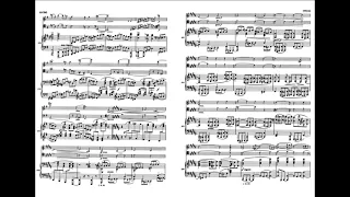 Brahms Piano Trios Complete