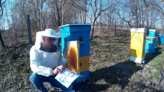 How to Get Innovational Ukrainian Beehive of Vasyl Priyatelenko? Ukraine (ENGLISH)