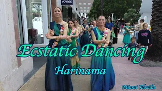 Magical Christmas Harinama in Miami Florida: Celebrating Joy & Spirituality!