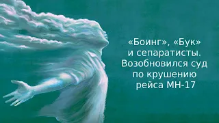 «Боинг», «Бук» и сепаратисты. Возобновился суд по крушению рейса MH-17 | Дайджест «Время Свободы»