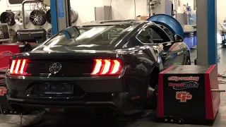 Ford Mustang Bullitt dynotest and tuning