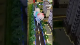 [Tiktok] Funny and Cute Pomeranian #15 #Shorts