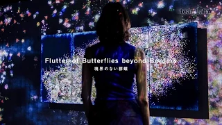 Flutter of Butterflies Beyond Borders / 境界のない群蝶 beta ver.