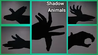 How to make amazing Shadow Animals with your Hands - best and easy hand puppets - craftUP