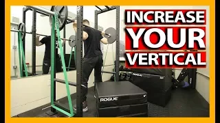 VERTICAL JUMP TRAINING WORKOUT (Exercise Explanations) How To Increase Your Vertical Jump - DAY 1