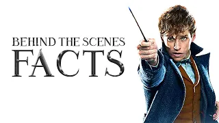 10 Behind the Scenes Facts about Fantastic Beasts The Crimes of Grindelwald