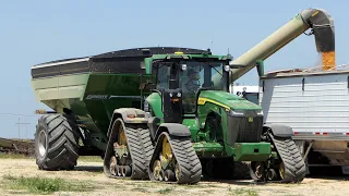 Corn Harvest 2023 at Delta Farms | Big Machines in The Field