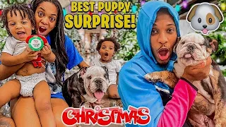 Surprising My Family With A New PUPPY!