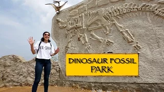 Dinosaur Fossil Park || Ahmedabad