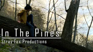 In The Pines | LGBTQ+ Short Film