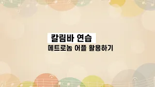 초보자를 위한 칼림바 연습방법