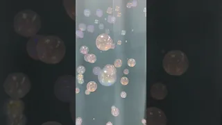 Мыльные пузыри с паром внутри