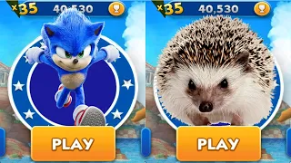 Sonic Dash vs Real Life Hedgehog - Movie Sonic vs All Bosses Zazz Eggman MOD - Run Gameplay