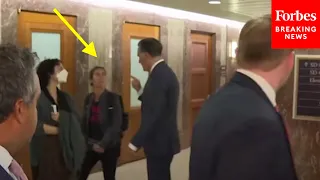 BREAKING NEWS: Mitt Romney Confronted By Pro-Ceasefire Protester—Watch His Direct Response