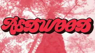 REDWOOD - PONDER (Official Music Video) 2022