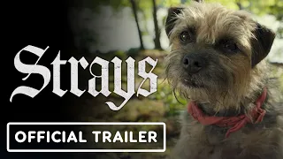 Strays - Official Red Band Trailer #2 (2023) Will Ferrell, Will Forte, Jamie Foxx, Randall Park.