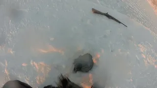 WHAT ITS LIKE HUNTING SEAL IN THE DEAD OF WINTER IN GRISE FIORD NUNAVUT