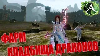 МОЖНО ЛИ ЗАРАБОТАТЬ НА ФАРМЕ МОБОВ КЛАДБИЩА ДРАКОНОВ В ArcheAge