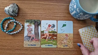 Daily Tarot Reading for the Collective - 01 March 2024 - Cards and a Cuppa