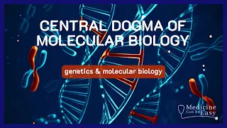 Central Dogma of Molecular Biology (+ NOTES)